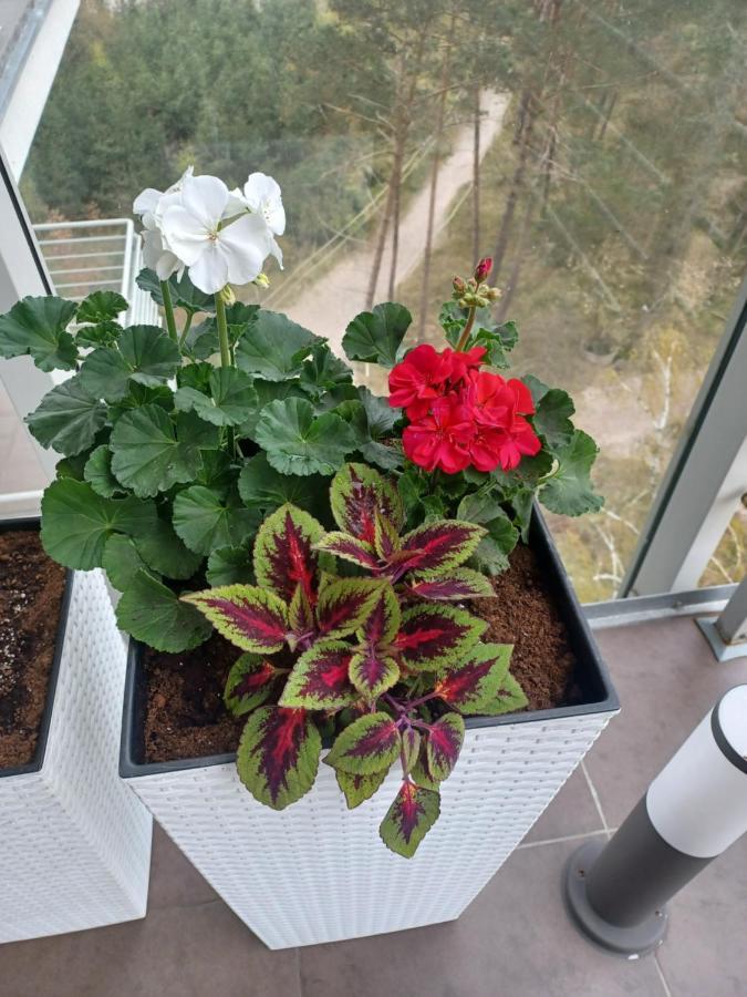 Apartament Z Widokiem Na Morze Dziwnówek Kültér fotó