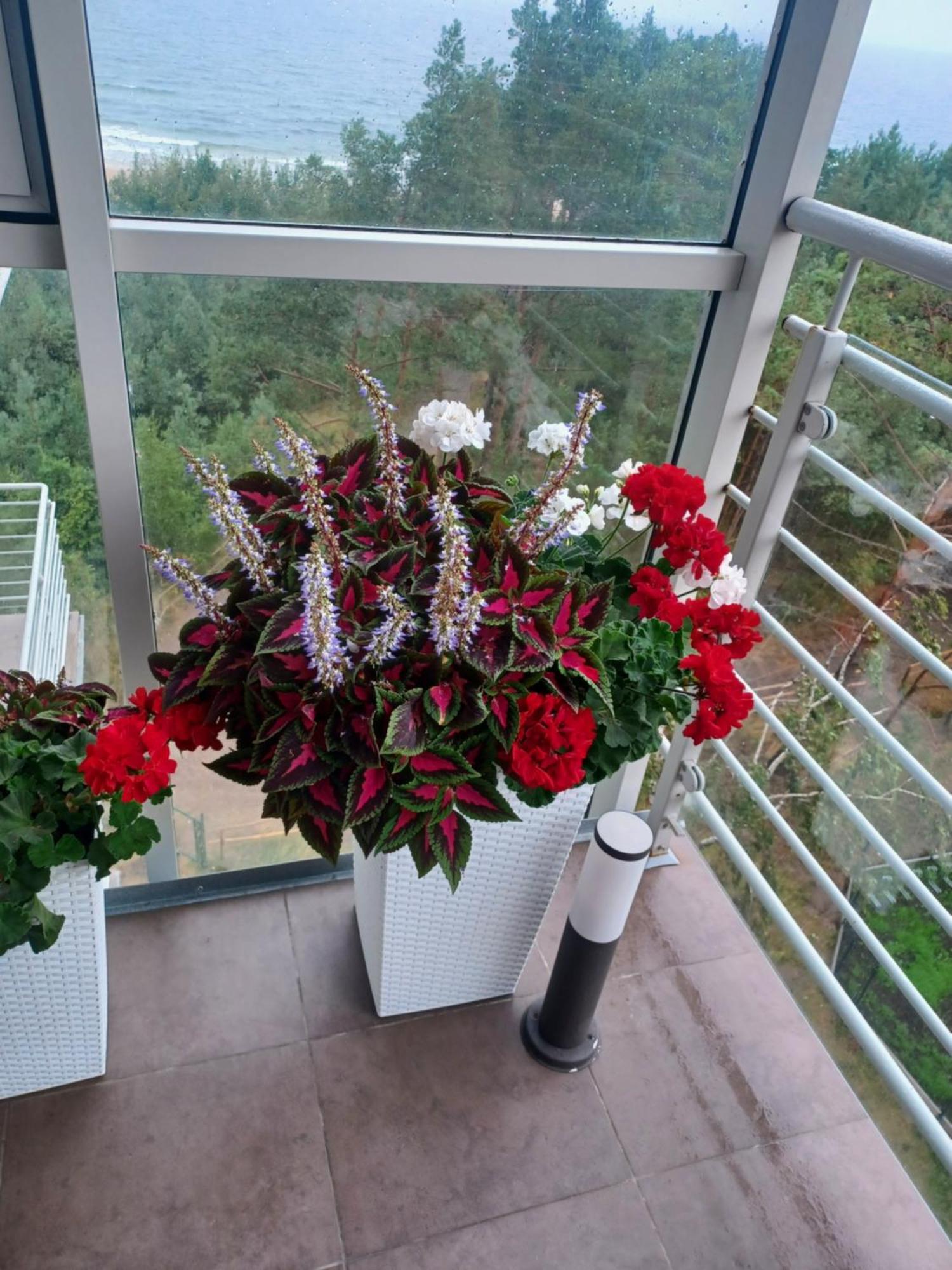 Apartament Z Widokiem Na Morze Dziwnówek Szoba fotó