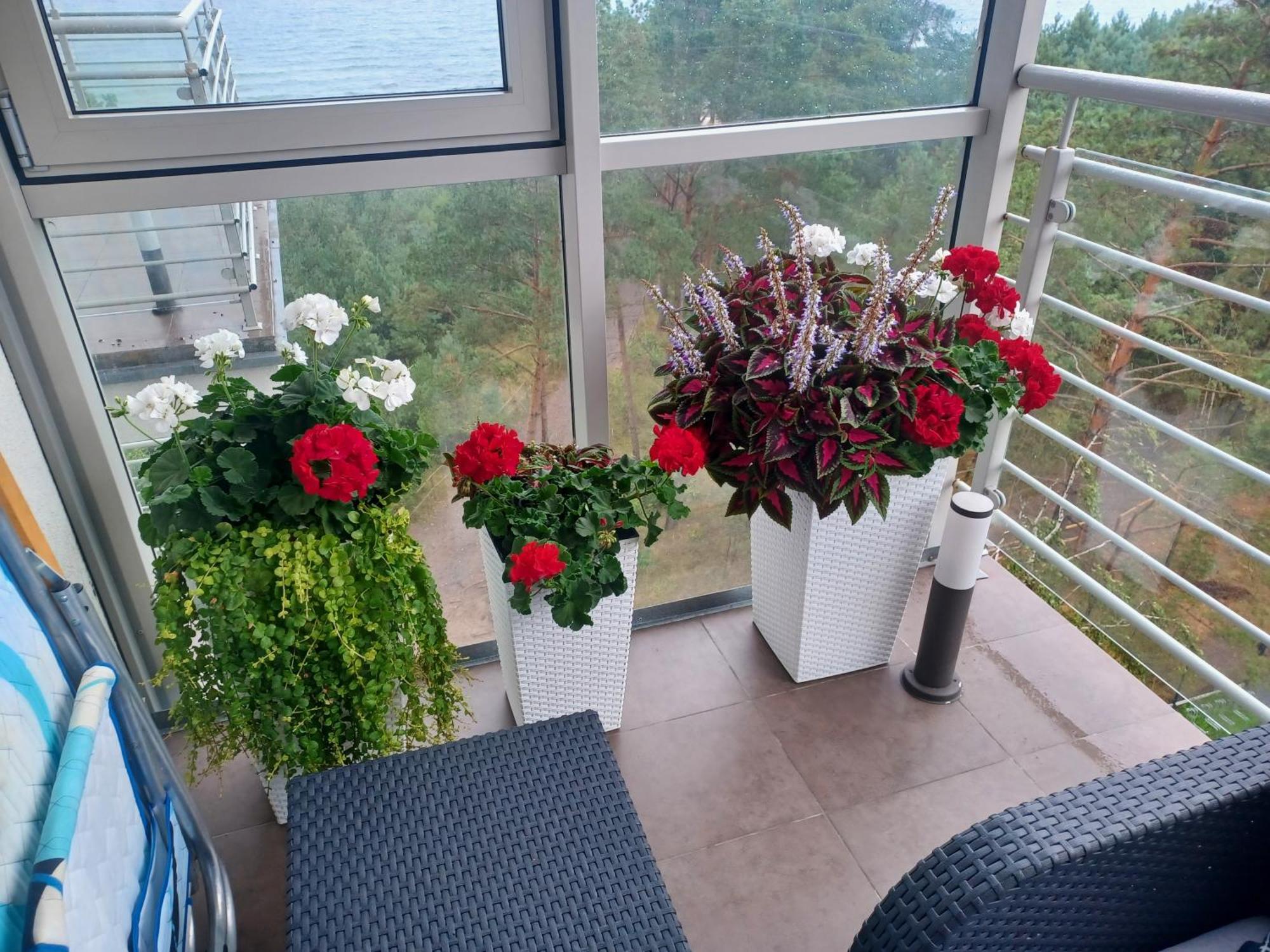 Apartament Z Widokiem Na Morze Dziwnówek Szoba fotó